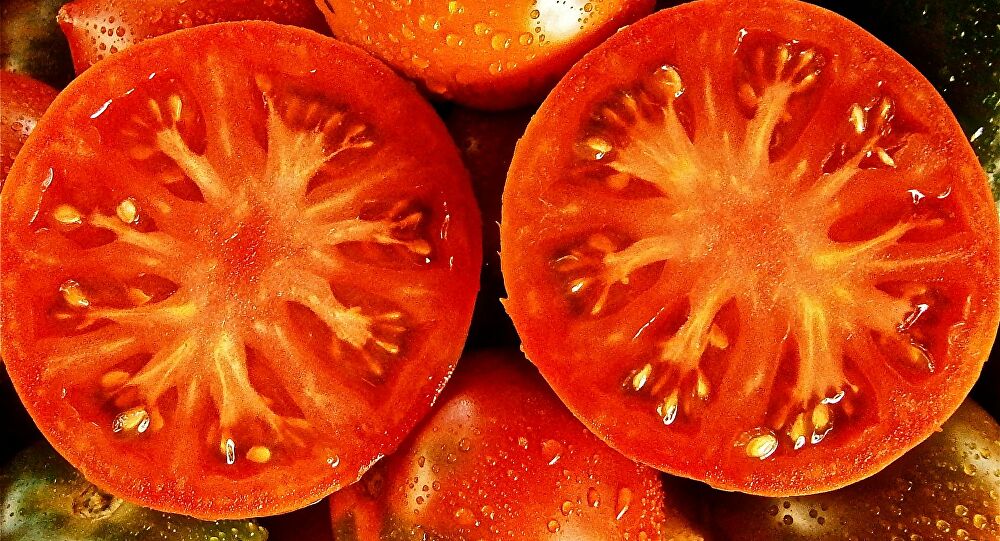  El tomate ¿es fruta o verdura?