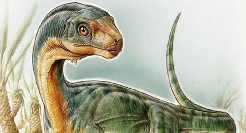  El dinosaurio chileno que revolucionó la paleontología mundial