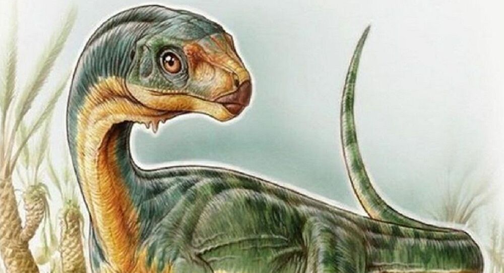 El dinosaurio chileno que revolucionó la paleontología mundial