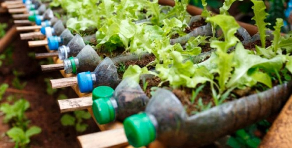 Reciclaje y cuarentena: ¿cómo protegemos una cultura que aún no termina de instalarse?