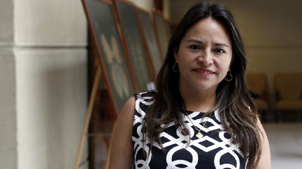  Diputada Joanna Pérez (DC) advierte «improvisación y falta de logística» en anuncio de cajas por pandemia y adelanta citación a Rodrigo Ubilla