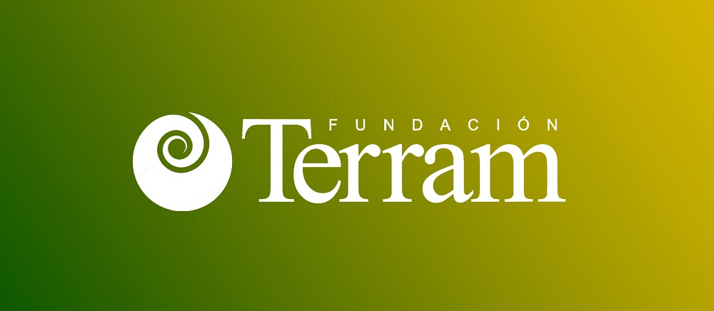  Infografías de Fundación Terram | ¿Qué es la Norma de Emisión para Termoeléctricas y cómo participar de su revisión?