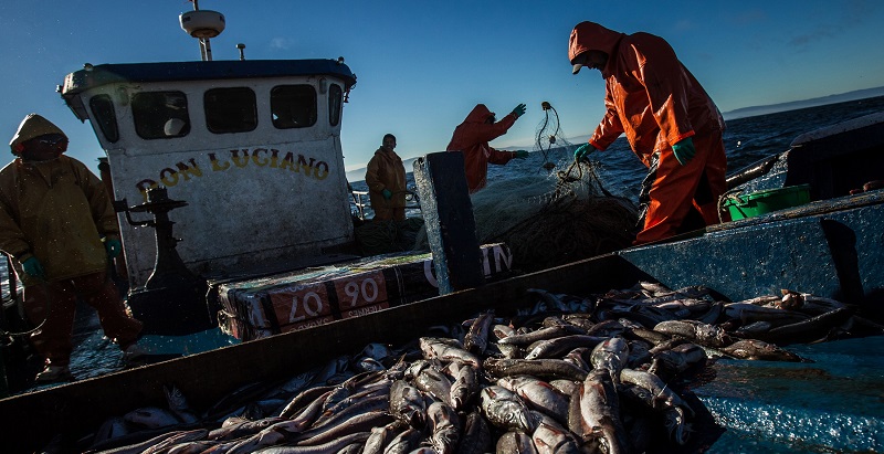  Pandemia y pesca artesanal: WWF Chile pide mayor articulación y un enfoque sustentable en las medidas de apoyo