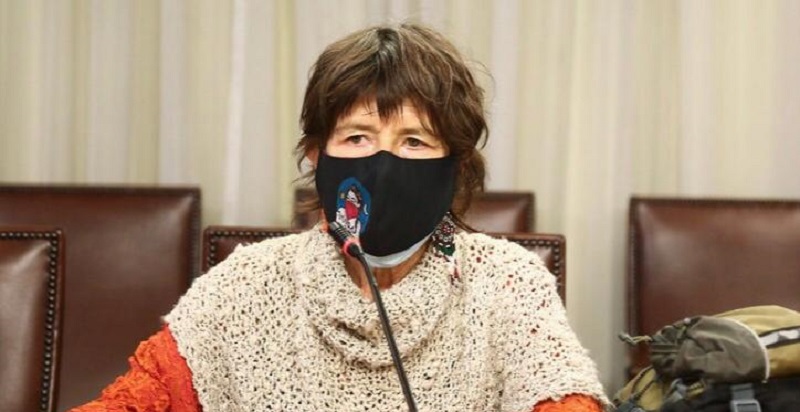 Diputada Girardi (PPD) presentó iniciativa que apunta a entregar cupos especiales para alumnos que postulen a internados