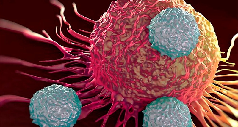  Investigadora Chilena descubre función de proteína clave en el cáncer