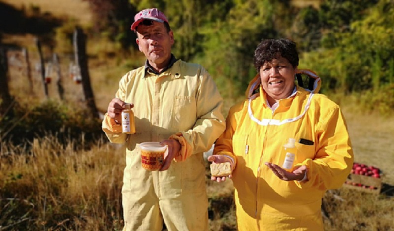  Senadores presentan proyecto para certificar la calidad de la miel chilena