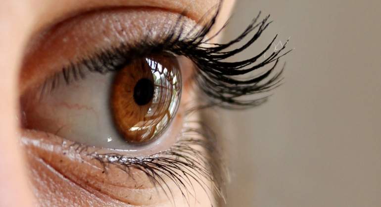  Científicos se acercan más a la cura de enfermedades oculares