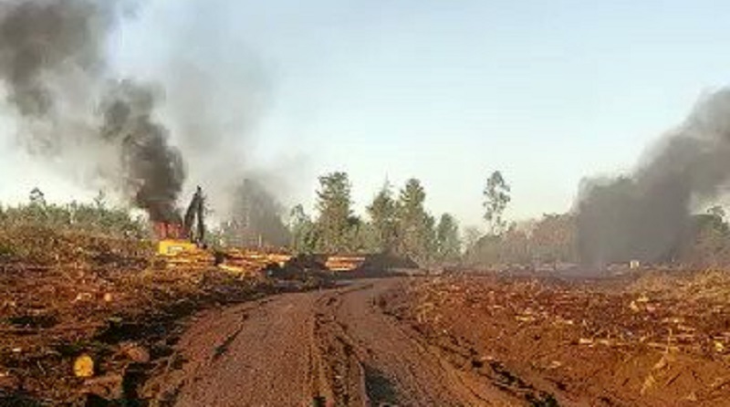  Un nuevo ataque incendiario en la comuna de Mulchén deja 7 equipos forestales quemados | Video