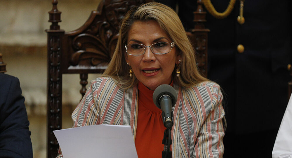  Ministro de Gobierno: presidenta boliviana buscará alianza electoral contra el MAS