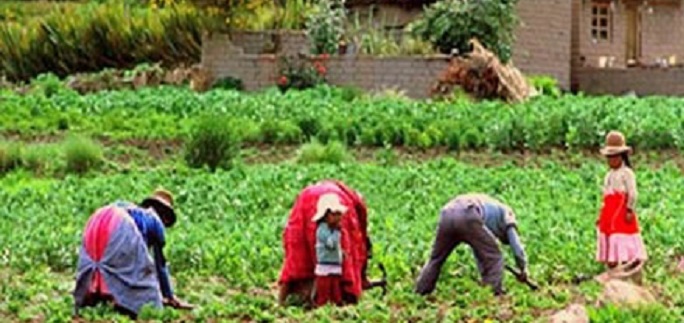 Perú cierra fronteras a agropecuaria boliviana