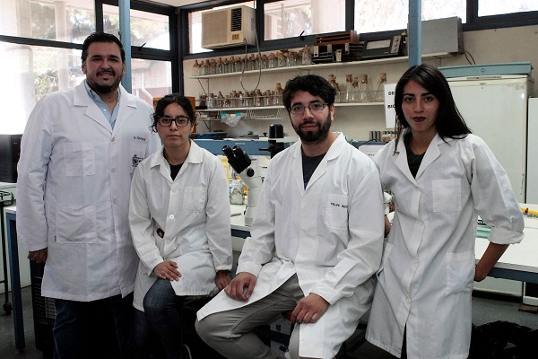 Investigadores de la Universidad de Chile comprueban contagio de COVID-19 de «humanos a animales»