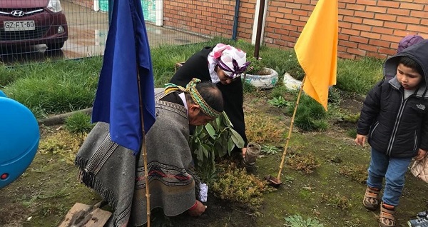 Jardín infantil de JUNJI Biobío obtiene premio Internacional por proyecto medioambiental