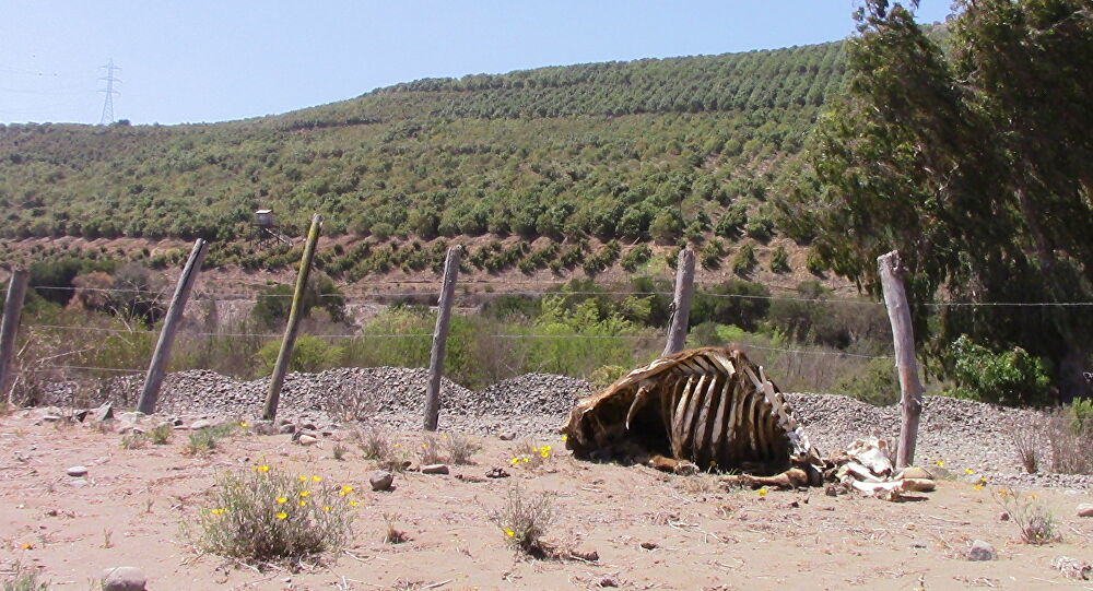 Ingresan proyecto de ley que tipifica como delito la afectación ilegítima de las aguas