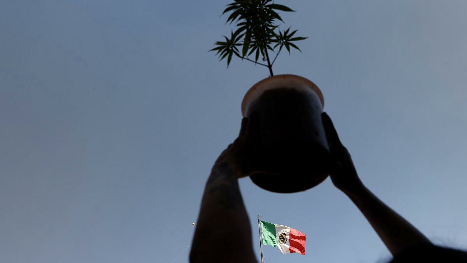  México legaliza la marihuana entre críticas de expertos y asociaciones de consumidores