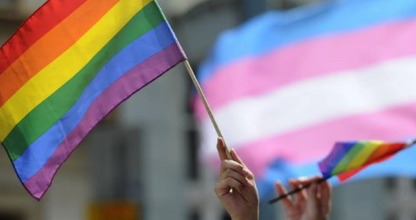  Organizaciones de la diversidad sexual y de género abandonan «Mesa de Promoción y Protección de derechos LGBTIQ+» del Gobierno