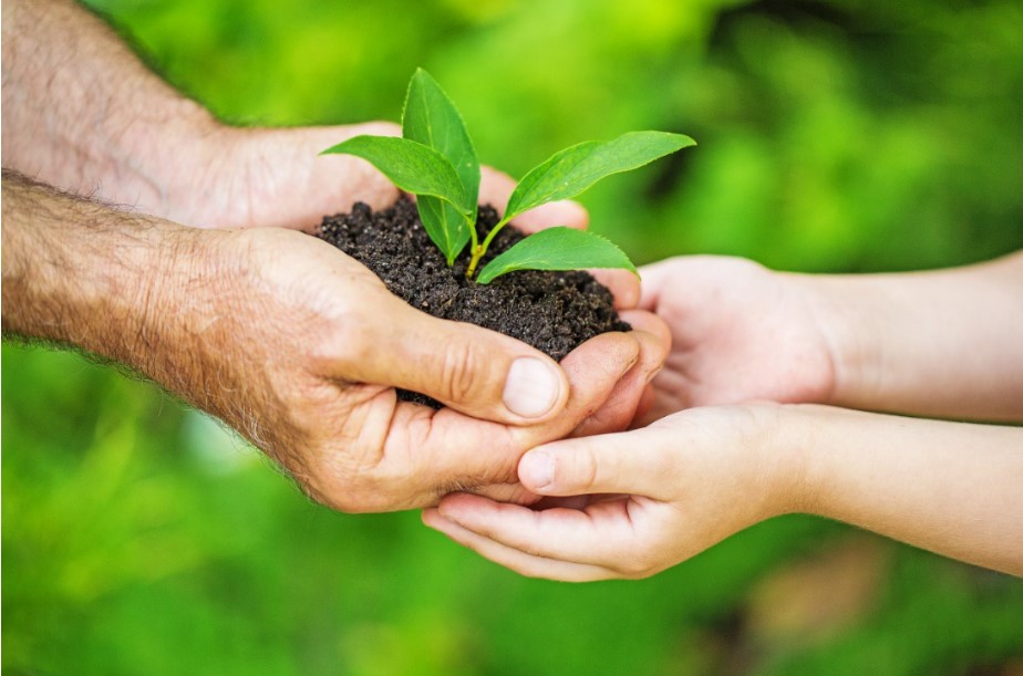 Día Mundial del Medio Ambiente 2021: ¿Cuál es tu aporte a la regeneración?