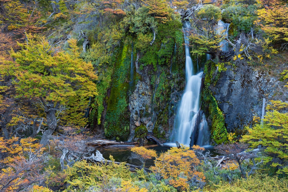 Los bancos centrales y los supervisores del sistema financiero necesitan actuar urgentemente para abordar los riesgos relacionados con la naturaleza, advierte un nuevo informe de WWF