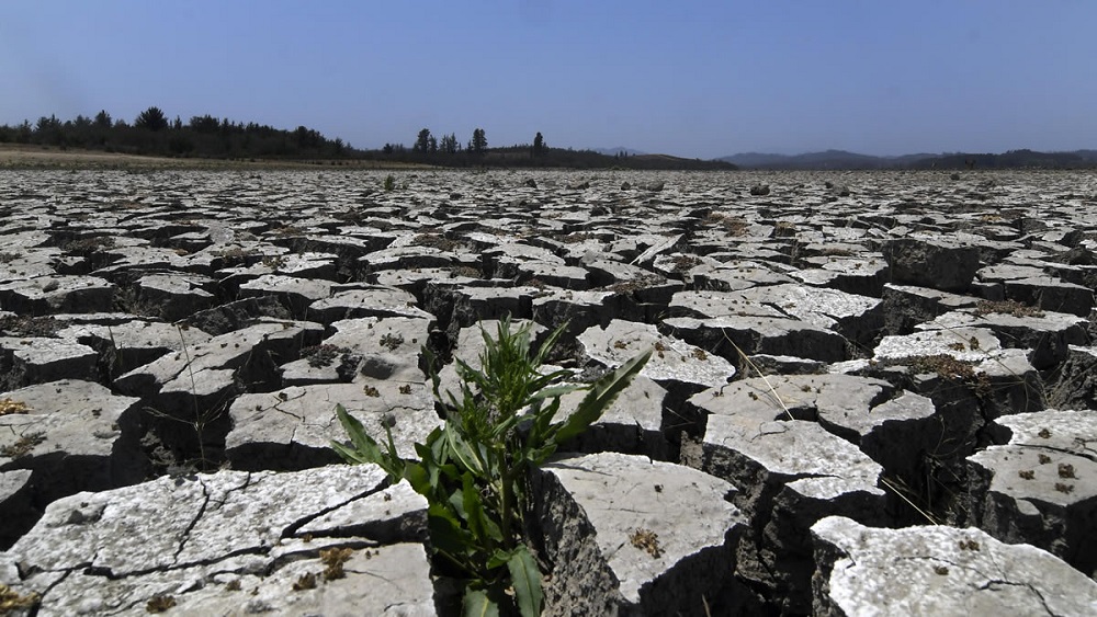  Fruticultores en alerta roja por severidad de la crisis hídrica en Chile y el cambio climático