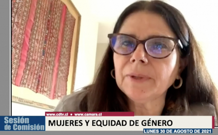 Diputadas priorizan proyecto sobre agravante para delitos donde la víctima se encuentre embarazada