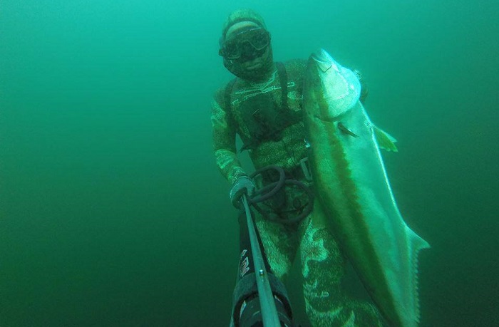 Miguel Santos, capitán de la selección chilena de pesca submarina: «Desde el mar de Taltal a demostrar que somos potencia mundial»