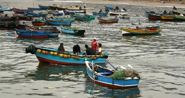  En seminario organizado por Oceana pescadores artesanales piden avanzar en la eliminación de la pesca de arrastre de la merluza común