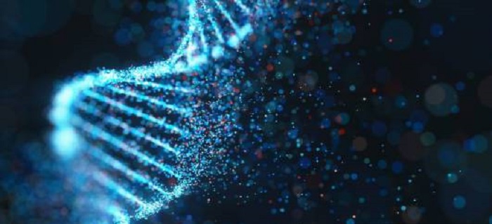 Los científicos observan cómo las bacterias reparan el ADN roto en tiempo real para ver exactamente cómo se hace