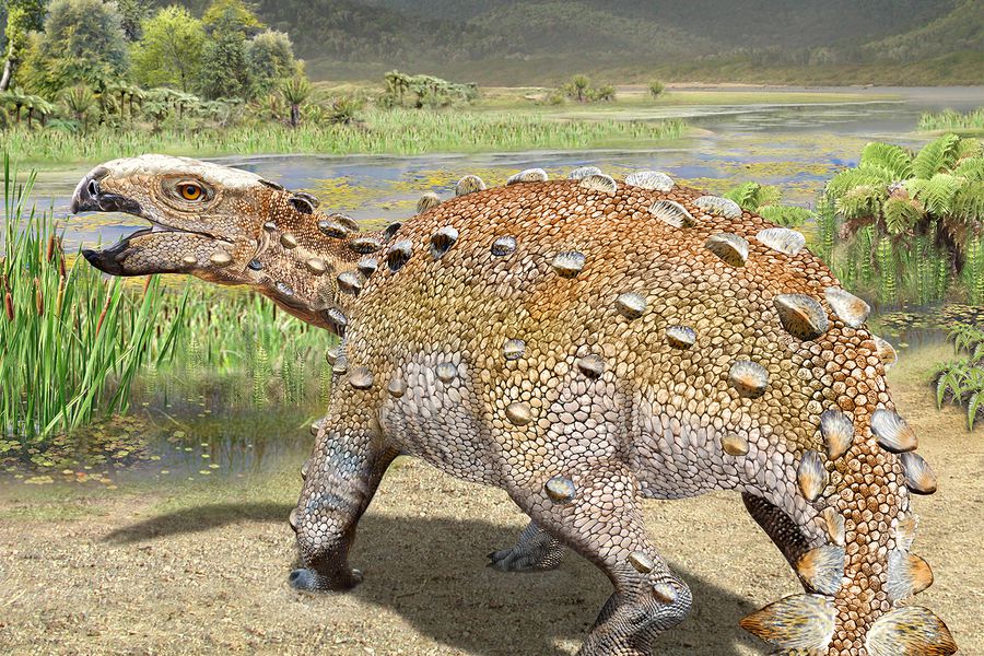 Chile en los ojos del mundo: Portada de Revista Nature destaca nuevo dinosaurio acorazado descubierto en la Patagonia