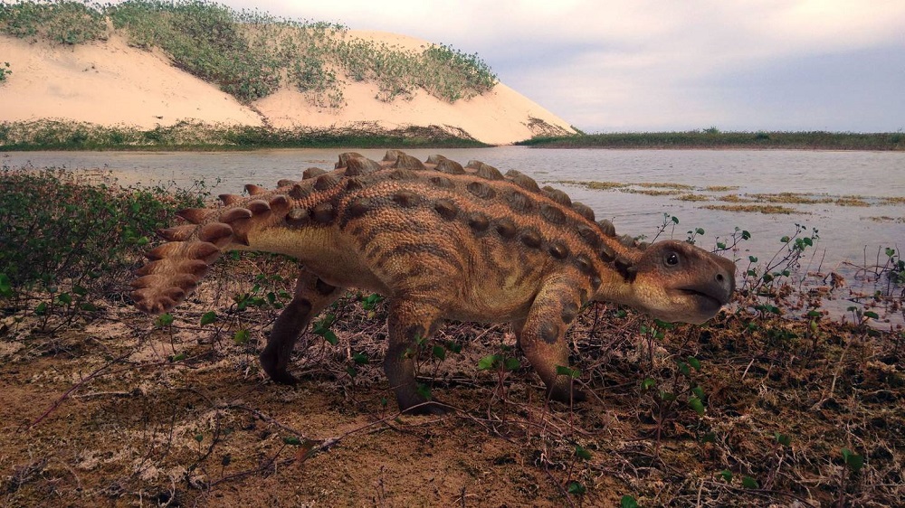  Hallazgo de impacto mundial publicado en Nature: Descubren una nueva especie de dinosaurio acorazado en la Patagonia chilena con una extraña arma en su cola