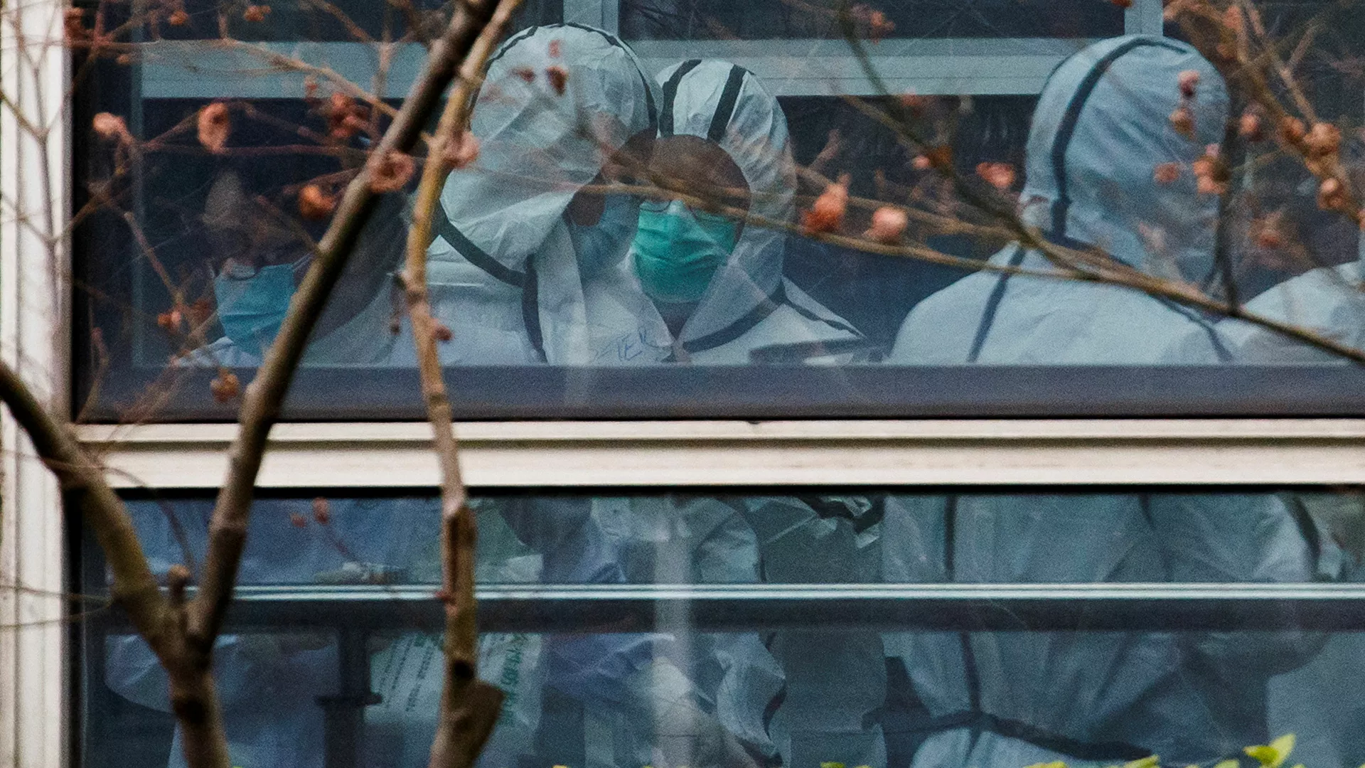 La Organización Mundial de la Salud (OMS) monitorea situación con el nuevo coronavirus NeoCoV