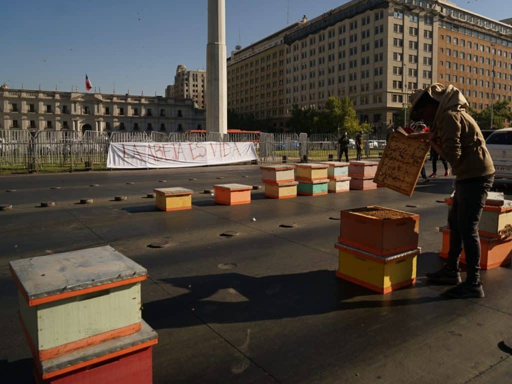  Apicultores protestan soltando abejas frente al Palacio de La Moneda
