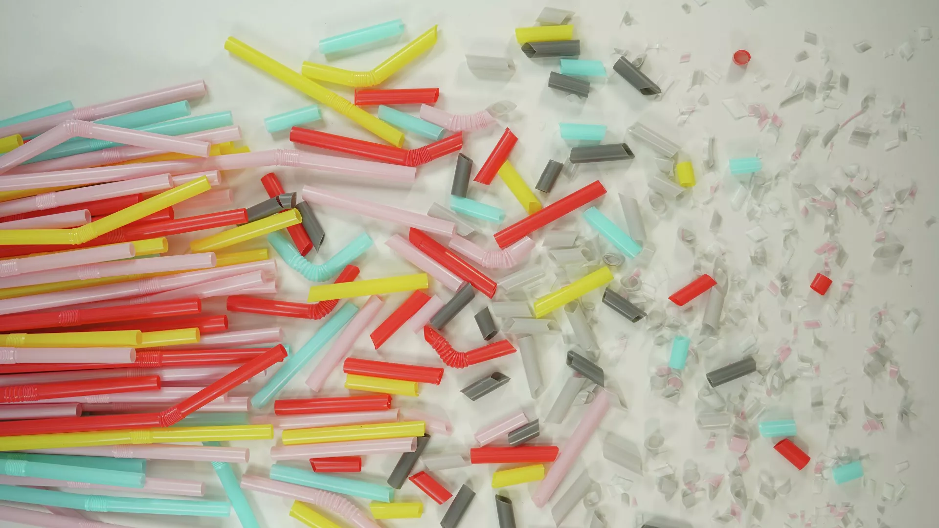  Científicos israelíes explican cómo microplásticos dañan la salud