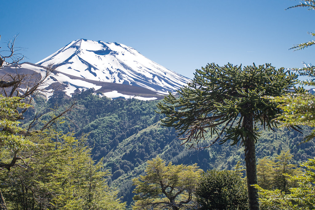 Organizaciones medioambientales del Wallmapu rechazan proyecto geotérmico en volcán Tolhuaca