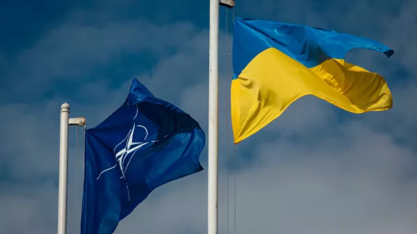  Excoronel de EEUU: para la OTAN el conflicto en Ucrania es «un gran partido de fútbol»