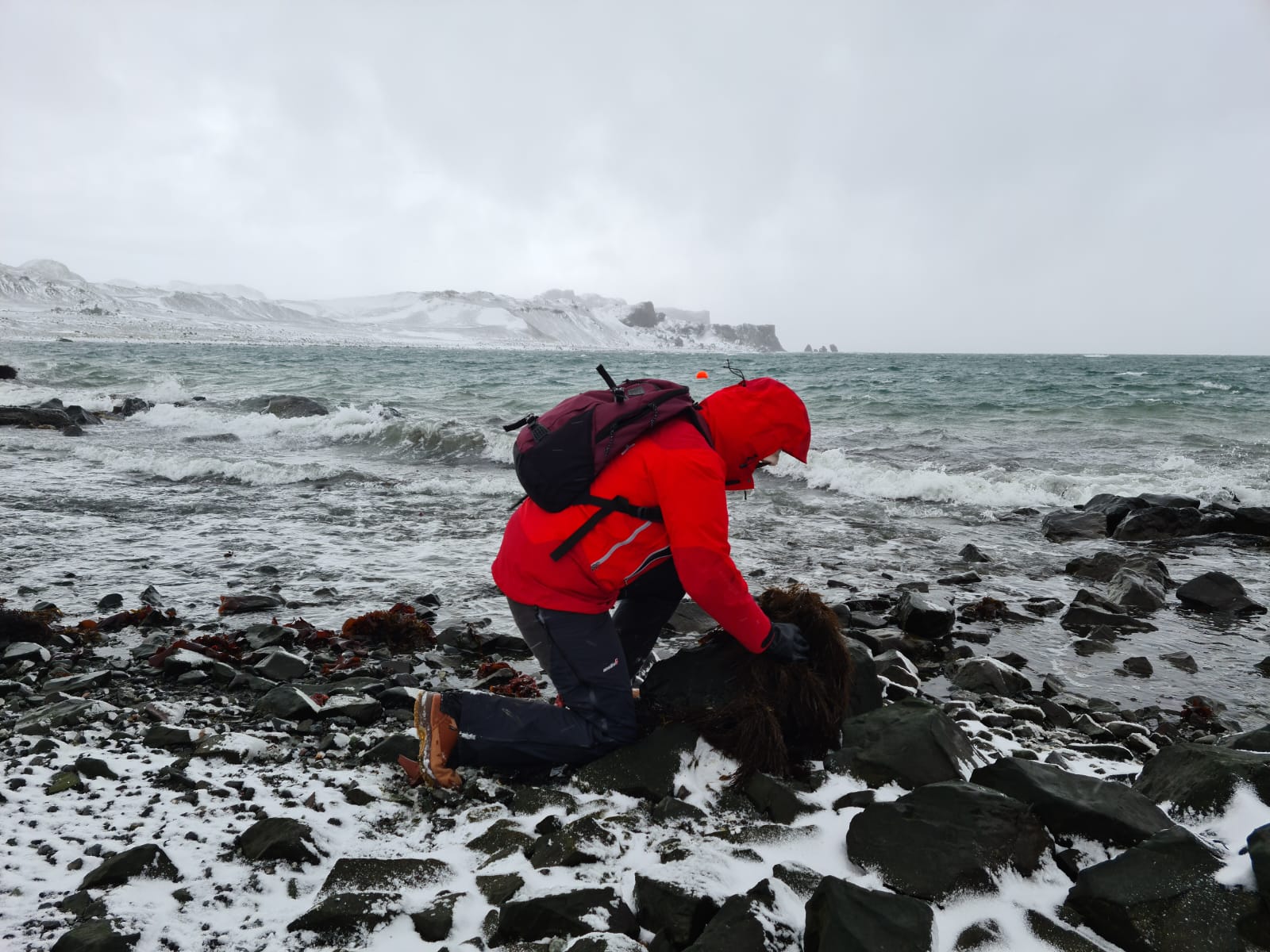  Investigador del Instituto de Acuicultura UACh participa en la Expedición Científica Antártica AC58