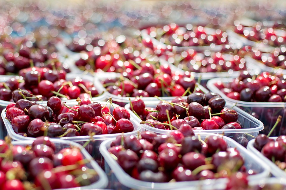 Dificultades logísticas comprometen las exportaciones chilenas de fruta fresca