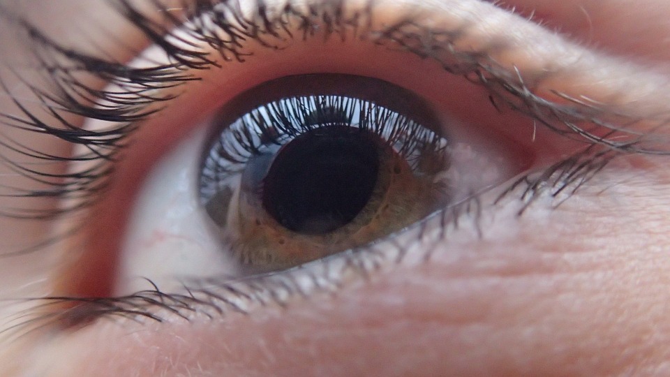  Glaucoma, el mal silencioso que te deja ciego de un día para otro