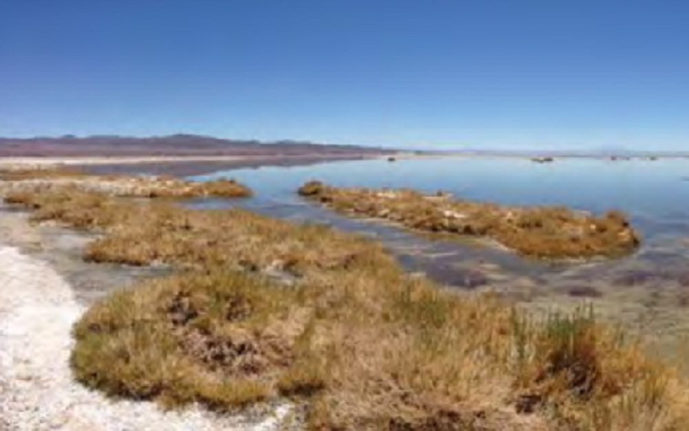  Consejo de Defensa del Estado demanda a tres mineras por daño ambiental en Salar de Atacama