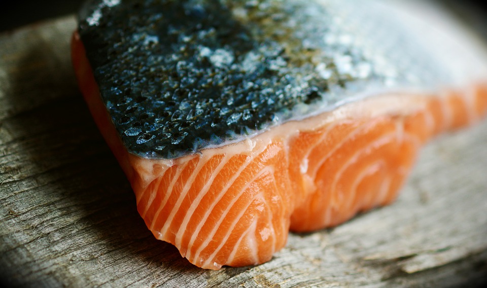 Industria del salmón en Chile: una nueva víctima de la crisis en Ucrania