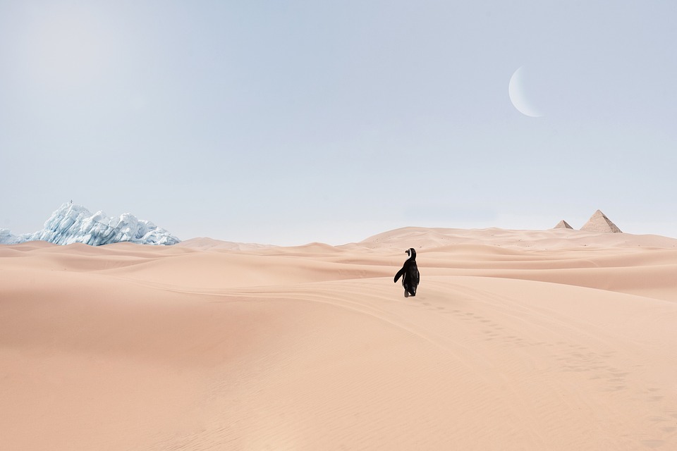 El cambio climático y las artes