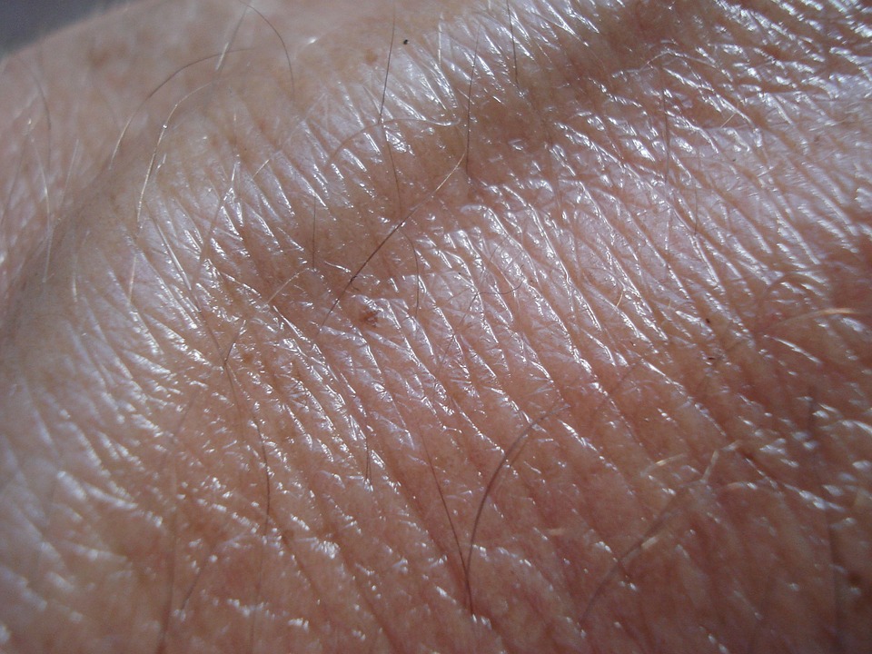 Un equipo de la U. de Chile desarrolla un modelo para detectar melanomas en base a Inteligencia Artificial