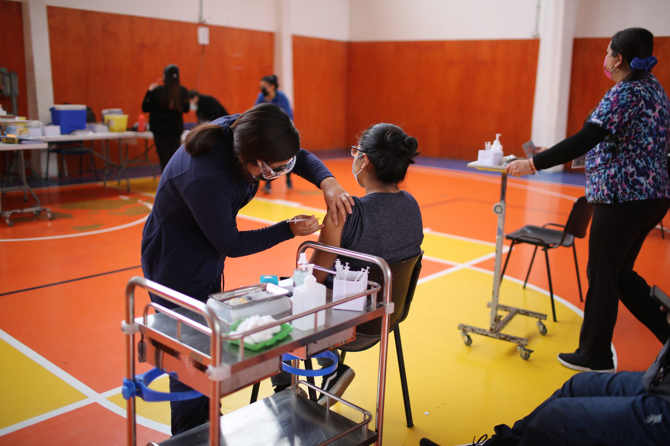 Arica y Parinacota alcanza cobertura del 84,5% en vacunación contra la influenza