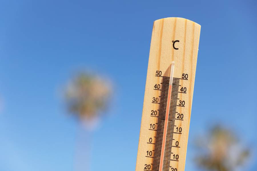 Calor extremo: ¿Llegarán a Chile las temperaturas que sofocan a Europa?