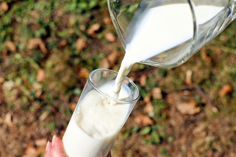  Toda la leche tendrá vitamina D para el 2024: ¿Qué opinan los expertos?