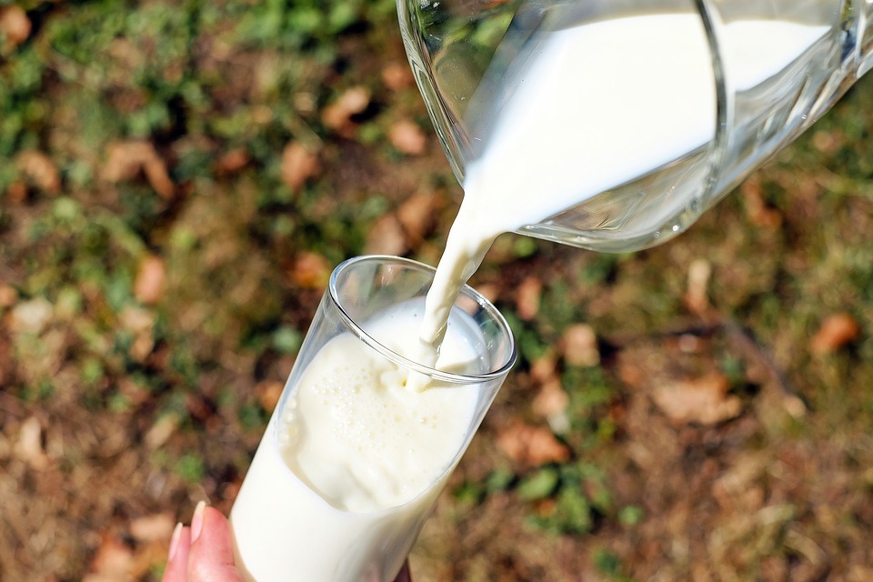 Toda la leche tendrá vitamina D para el 2024: ¿Qué opinan los expertos?