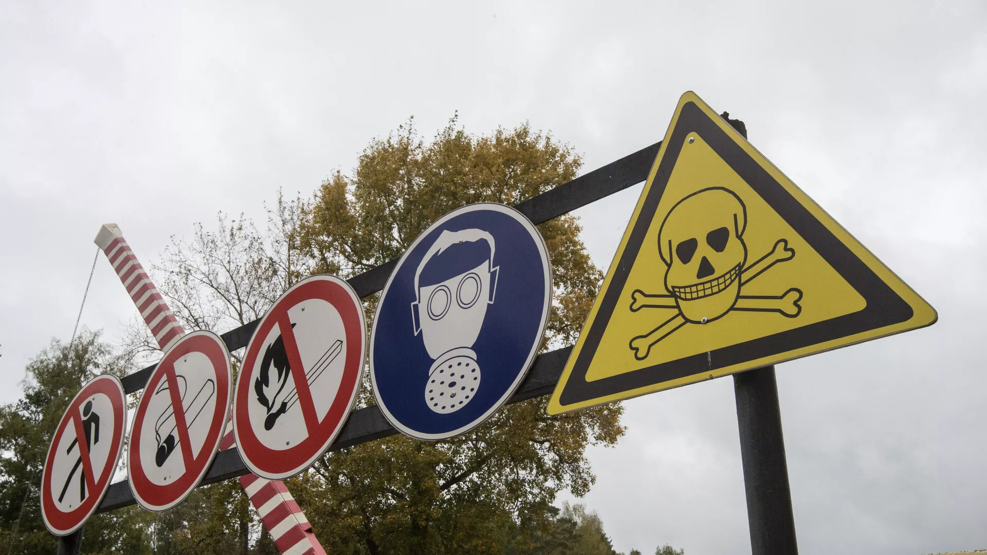 ¿Qué es la toxina botulínica, el arma química de Ucrania que puede causar la muerte por asfixia?