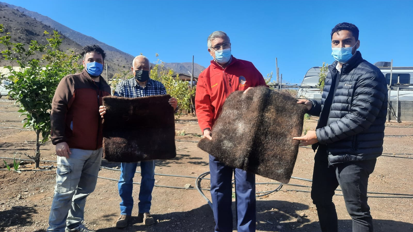 En Taltal alfombras de pelo para ahorro hídrico potenciarán la agricultura en el desierto