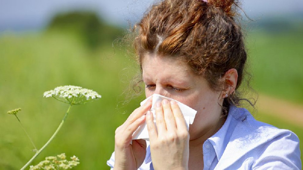  Desde inyecciones hasta medicamentos orales: tratamientos para combatir las alergias primaverales