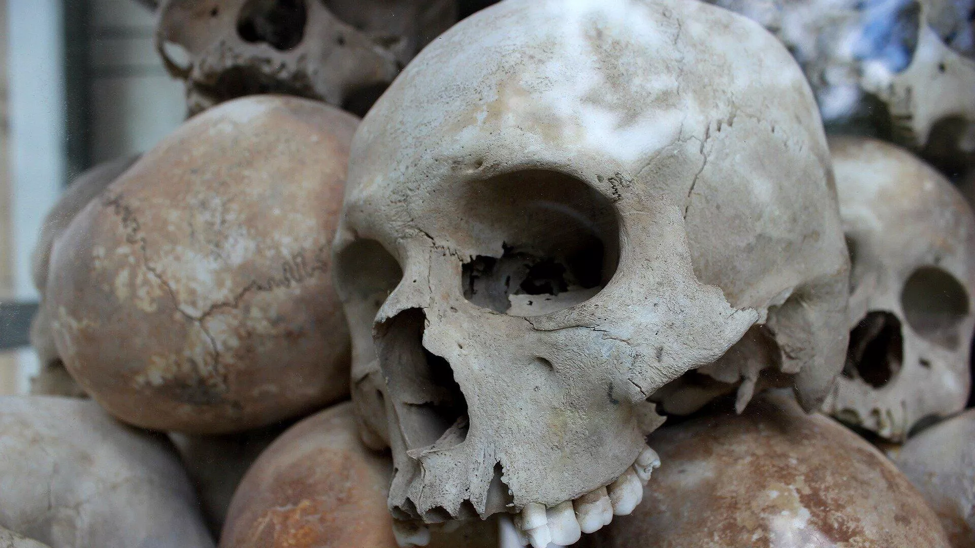  La cultura precolombina no deja de sorprender: hallan en Perú tumbas con niños sacrificados