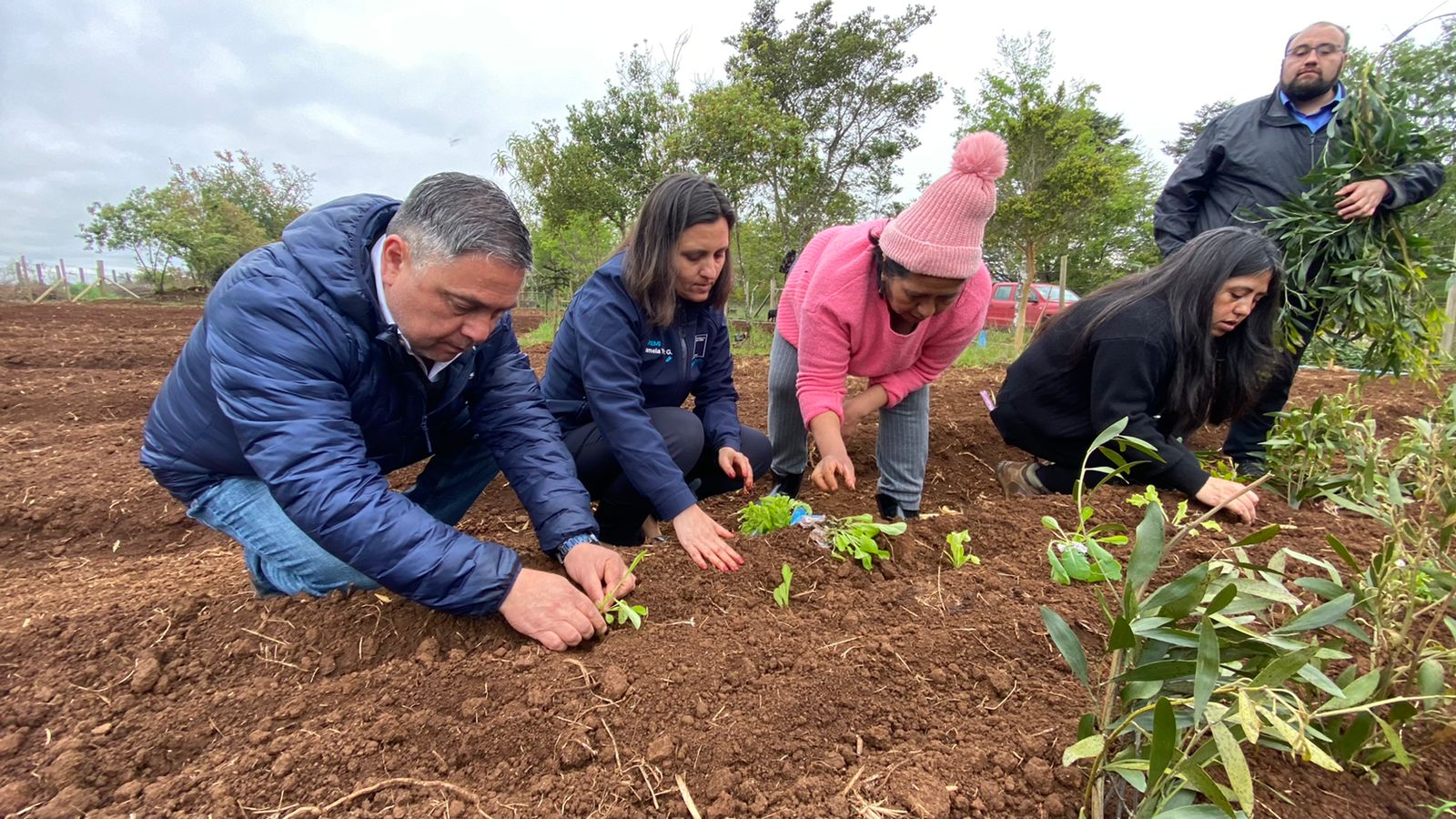  Proyecto INIA en Cañete incrementa actividades agrícolas junto a instituciones locales