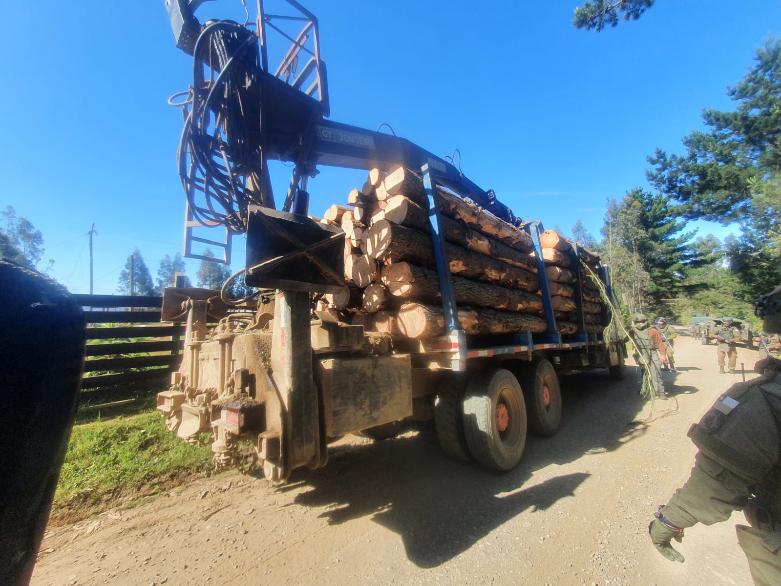  Cómo la tala ilegal degeneró en una crisis nacional de seguridad en Chile